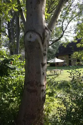 Ein Garten an der Unterkunft Wachsmuts gemütliche Bleibe mir alter Wandmalerei