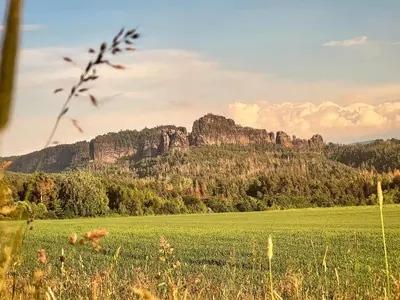 Naturlandschaft in der Nähe der Ferienwohnung
