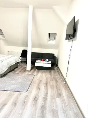 TV/Unterhaltungsangebot in der Unterkunft Aparthotel
