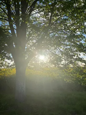 Naturlandschaft in der Nähe der Ferienwohnung