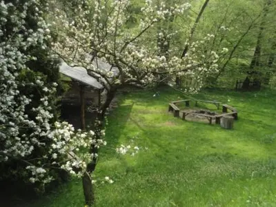 Ein Garten an der Unterkunft Haus Friedland
