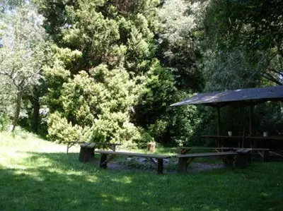 Ein Garten an der Unterkunft Haus Friedland