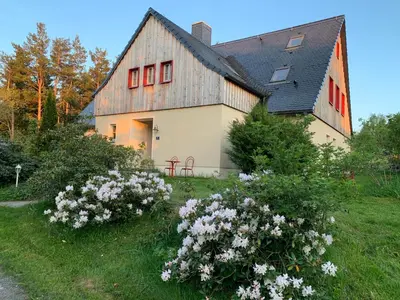 Ein Garten an der Unterkunft Haus Waldeck