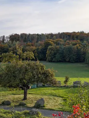 Naturlandschaft in der Nähe des Ferienhauses