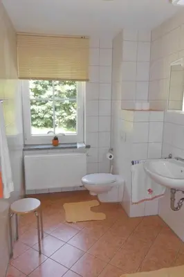 Ein Badezimmer in der Unterkunft Apartment Wolfsgrund by Interhome