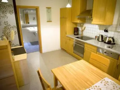 Küche/Küchenzeile in der Unterkunft Apartment Fewo Ginkgo by Interhome