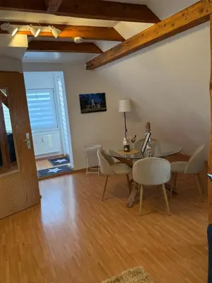 TV/Unterhaltungsangebot in der Unterkunft Apartment nahe Senftenberger See - Wohnung 1