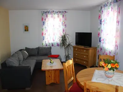 TV/Unterhaltungsangebot in der Unterkunft XXL Ferienhaus in Struppen