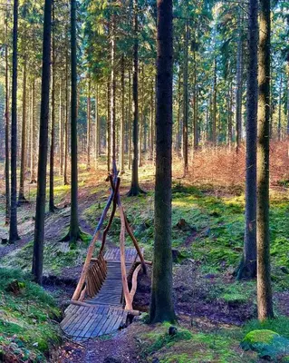 Ein Garten an der Unterkunft Ferienhaus am Mühlgrundbach