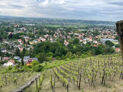Naturlandschaft in der Nähe des Ferienhauses