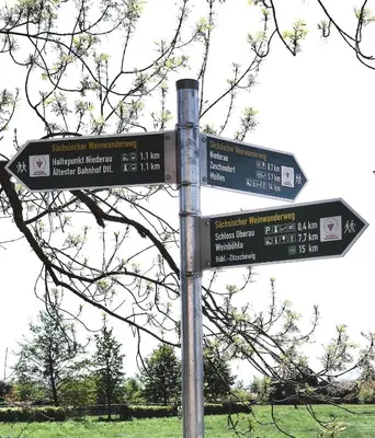Grundriss der Unterkunft Souterrainwohnung in Niederau