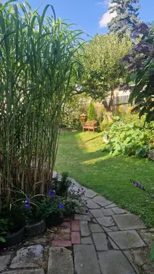 Ein Garten an der Unterkunft Sethmacher Stube