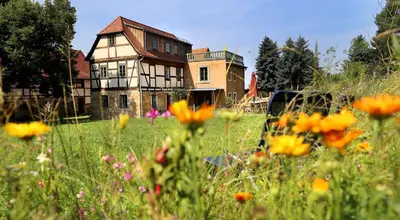 Ein Garten an der Unterkunft Ferienhaus Lindenhof Graupa