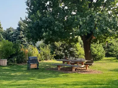 Ein Garten an der Unterkunft Schäferwagen Auenblick Nr 5