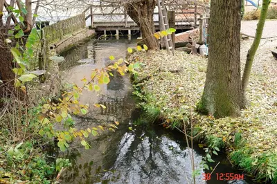 Naturlandschaft in der Nähe der Pension