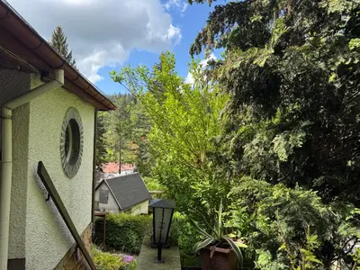 Ein Garten an der Unterkunft Waldhaus zur Kleinbahn