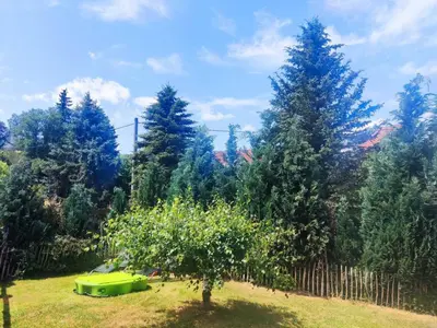 Ein Garten an der Unterkunft Apartment am Hofladen Hellendorf - Sächsische Schweiz by Interhome