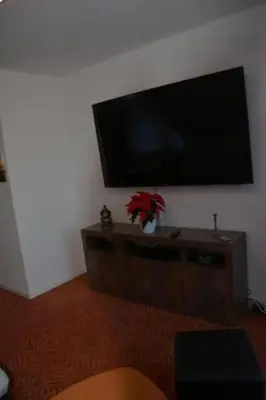 TV/Unterhaltungsangebot in der Unterkunft Apartment kunstsammler by Interhome