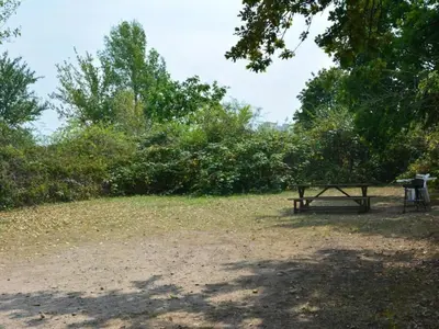 Ein Garten an der Unterkunft Apartment kunstsammler by Interhome
