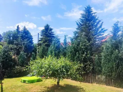 Ein Garten an der Unterkunft Apartment am Hofladen Hellendorf - Sächsische Schweiz by Interhome