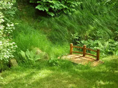 Ein Garten an der Unterkunft Ferienhaus am Urzeitpark Sebnitz