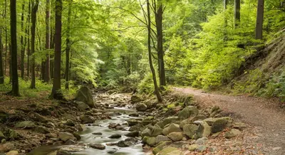 Naturlandschaft in der Nähe des Hostels