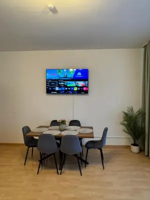 TV/Unterhaltungsangebot in der Unterkunft Arminos Large Group Apartment- 3 Zimmer & 2 WCs