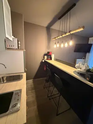 Küche/Küchenzeile in der Unterkunft ThoKa Appartement
