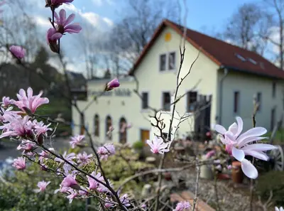 Ein Garten an der Unterkunft Eutschützer Mühle