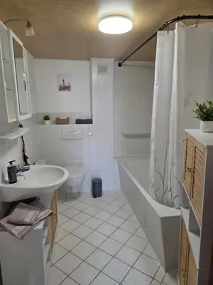Ein Badezimmer in der Unterkunft Ferienwohnung in Hilmersdorf