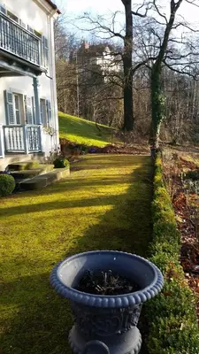 Ein Garten an der Unterkunft Villa im Park Wachwitzgrund - Große Ferienwohnung in EG der Villa