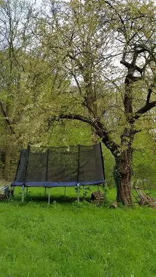 Ein Garten an der Unterkunft Villa im Park Wachwitzgrund - Große Ferienwohnung in EG der Villa