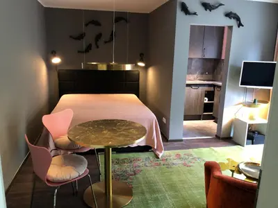 TV/Unterhaltungsangebot in der Unterkunft Studio Apartment in Dresden-Neustadt
