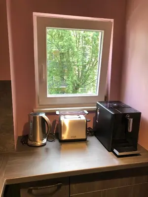 Küche/Küchenzeile in der Unterkunft Studio Apartment in Dresden-Neustadt
