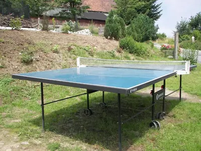 Tischtennis in der Unterkunft Gruppenausflug nach Sebnitz oder in der Nähe