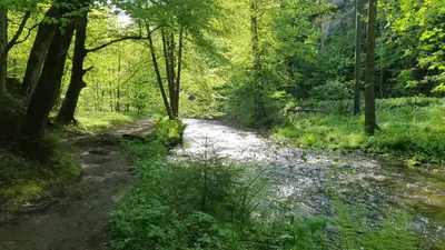 Naturlandschaft in der Nähe der Pension