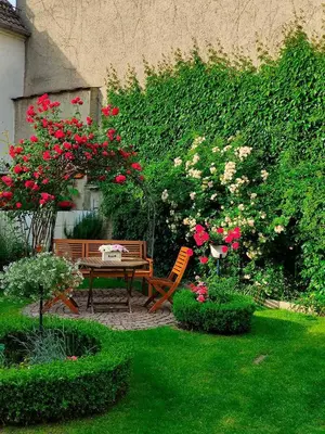 Ein Garten an der Unterkunft Pension Wehner