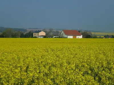 Naturlandschaft in der Nähe der Pension