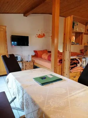 TV/Unterhaltungsangebot in der Unterkunft Gästehaus Schirner