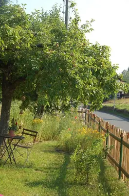 Ein Garten an der Unterkunft Ferienwohnung Katzstein