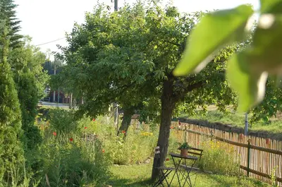 Ein Garten an der Unterkunft Ferienwohnung Katzstein