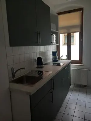 Küche/Küchenzeile in der Unterkunft City-Apartment Adlergasse Dresden