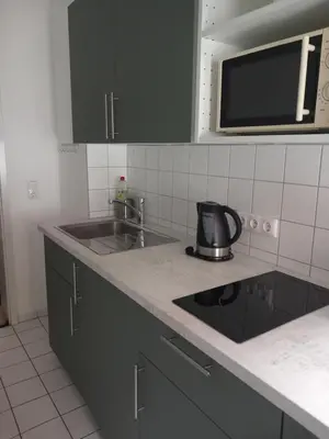 Küche/Küchenzeile in der Unterkunft City-Apartment Adlergasse Dresden