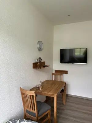 TV/Unterhaltungsangebot in der Unterkunft Pension Hönel-Hof Bad Schandau