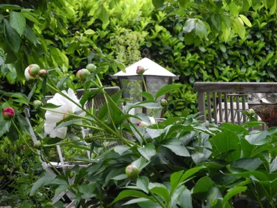 Ein Garten an der Unterkunft Ferienwohnung Geißler