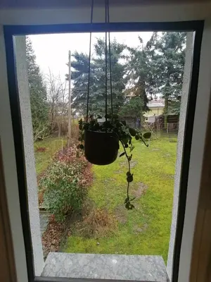 Ein Garten an der Unterkunft Ferienhaus Fuxbau