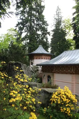 Ein Garten an der Unterkunft Ferienwohnung Jagdschloss Bielatal