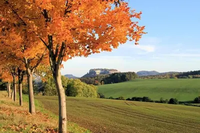 Naturlandschaft in der Nähe der Ferienwohnung