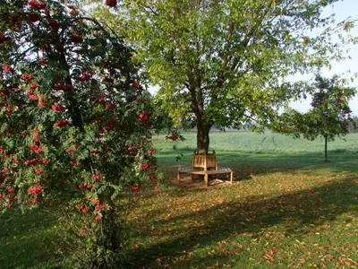 Ein Garten an der Unterkunft Hotel Moritz an der Elbe