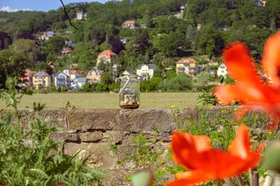 Naturlandschaft in der Nähe der Pension